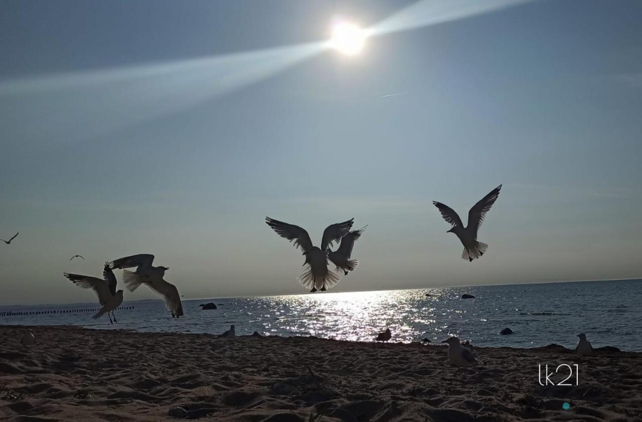 Fewo Abendrot Insel Poel Exteriér fotografie