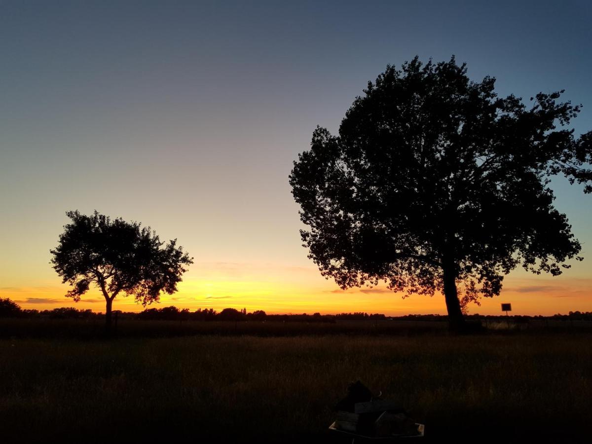 Fewo Abendrot Insel Poel Exteriér fotografie